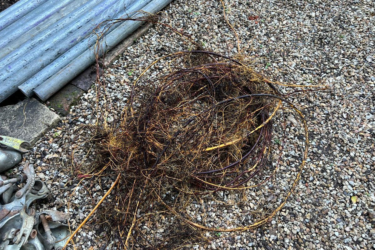 Removing Roots From Drain Pipes